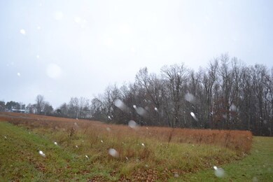 0 Clear Creek Ln unit 201783, Clarkrange, TN 38553 - photo 5