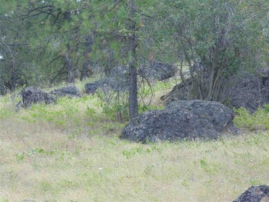00 E Robin Lane Lot 4 Ln, Chattaroy, WA 99003 - photo 3