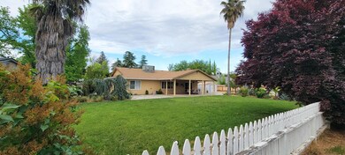 back yard 8