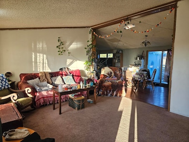 9156 50th Ave, Evart, MI 49631 - photo 3