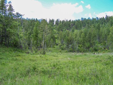 Field 2
