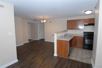 10201 Spring Creek Ln unit 2B, O Fallon, MO 63368 - photo 5