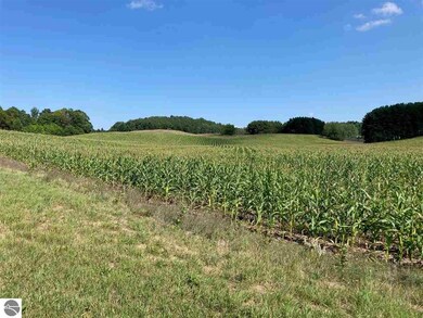 13707 S Lautner Rd, Traverse City, MI 49684 - photo 3