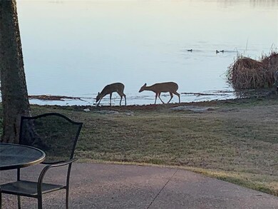 1451 Lakeside Trail, Whitney, TX 76692 - photo 4