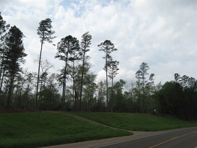 5.49 ac Farm To Market 225, Nacogdoches, TX 75964 - photo 7