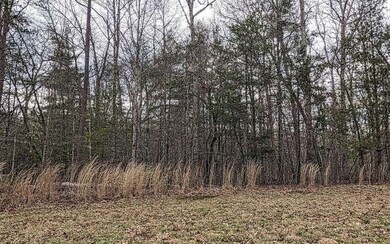 LT 8 Creekside Ln, Mineral Bluff, GA 30559 - photo 4