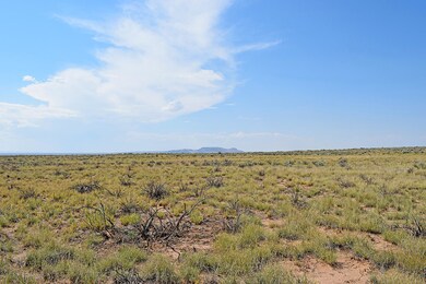 Lot 10 Rio Del Oro Loop unit 53, Los Lunas, NM 87031 - photo 5