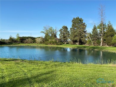 Pond view