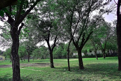 317 S 6th St, Donna, TX 78537 - photo 6