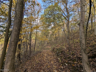 44603 Roy Bower Rd, Sardis, OH 43946 - photo 5