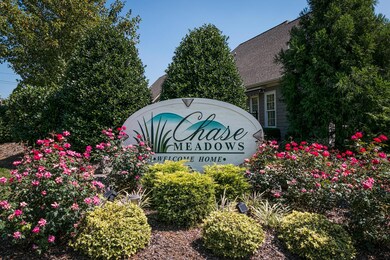 chase-meadows-photos-2