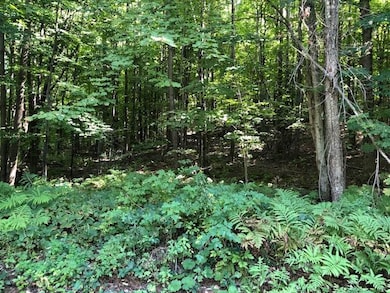 350 Mountain View Rd, Richmond, VT 05477 - photo 2