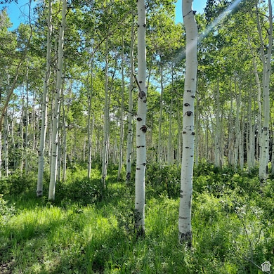 1 E Powder Mtn Cir unit 22, Spanish Fork, UT 84660 - photo 2