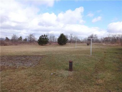 Yard/Garden Back yard