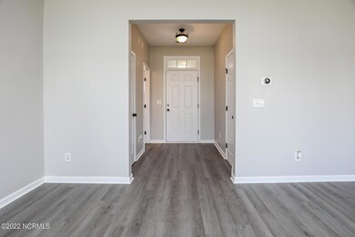 426 Bald Cypress-40