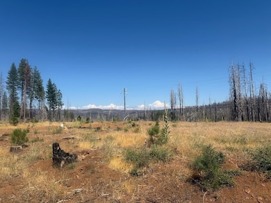 9981 Grizzly Flat Rd, Grizzly Flats, CA 95636 - photo 7
