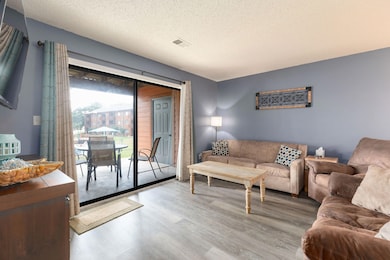 175 Avondale Dr unit 4, Branson, MO 65616 - photo 3