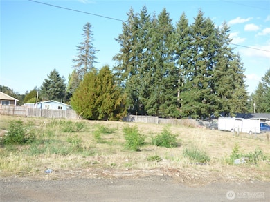 239 170th St E, Spanaway, WA 98387 - photo 2