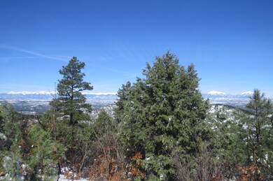 655 Mora Ln unit 79, Trinidad, CO 81082 - photo 6
