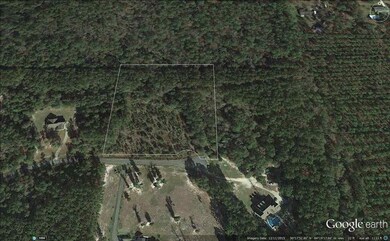 Lot 5 Decey Wallace Ln, Crawfordville, FL 32327 - photo 7