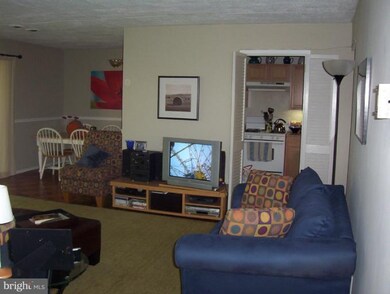 5703 Indian Ct unit 16, Alexandria, VA 22303 - photo 5