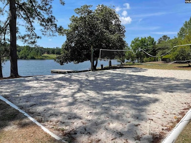 465 Henslowe Ln, West Columbia, SC 29170 - photo 4