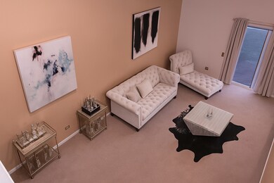 unlisted-address, Tinley Park, IL 60477 - photo 4