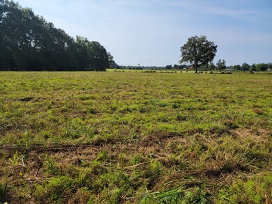 0 Farrrah Hill Rd, Manchester, TN 37355 - photo 3