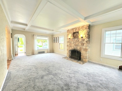 Living room and fireplace