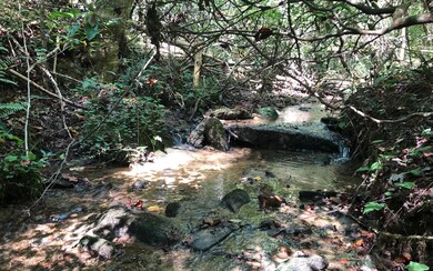 Additional View