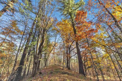 0 County Road Gg unit 50317557, Iola, WI 54945 - photo 6