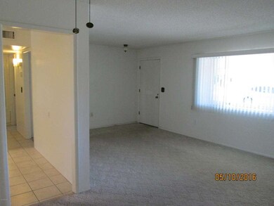 10202 W Andover Ave, Sun City, AZ 85351 - photo 6