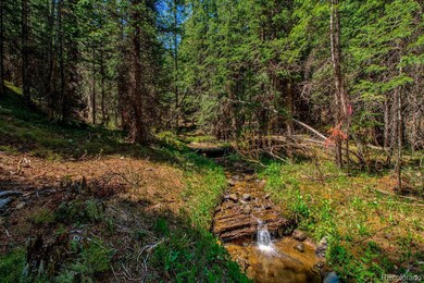 0307 Cr 674 unit 18, Blue River, CO 80424 - photo 7