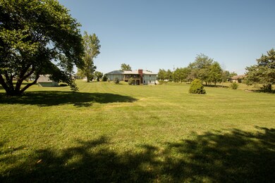 IMG_0011