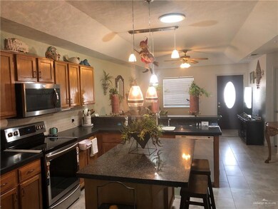 817 Santa Anna Dr, Alamo, TX 78516 - photo 4