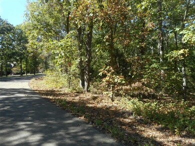 232 Buzzard Rock Rd, Farmington, MO 63640 - photo 4