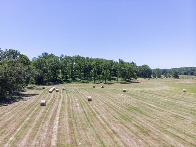 lot18