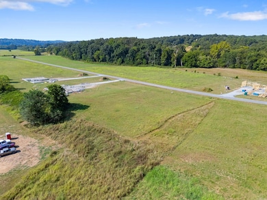 Lot 32 Dry Fly Ct, Flippin, AR 72634 - photo 3
