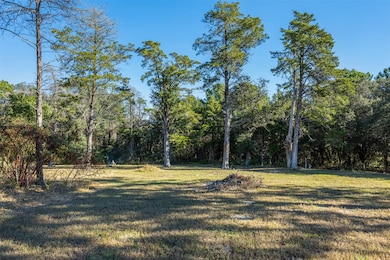 1045 Old New Ulm Rd, New Ulm, TX 78950 - photo 3