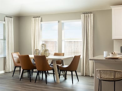 2628 Grand Canyon St, Anna, TX 75409 - photo 2