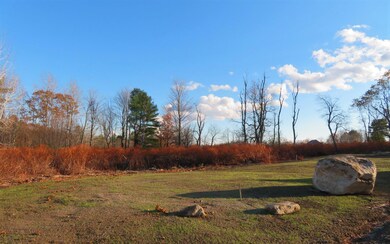IMG_1555 (2)