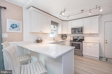 31828 Mill Run Dr, Ocean View, DE 19970 - photo 5