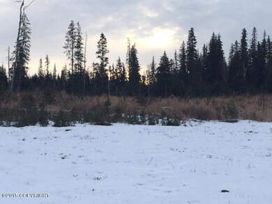 L6 Vince Rd, Anchor Point, AK 99556 - photo 5