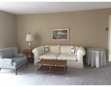 Imperial Towers unit 612, Chestnut Hill, MA 02467 - photo 4