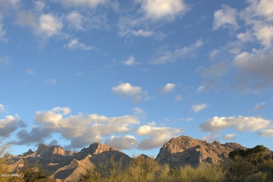 54 E Loch Lomond Place unit 4, Oro Valley, AZ 85737 - photo 3