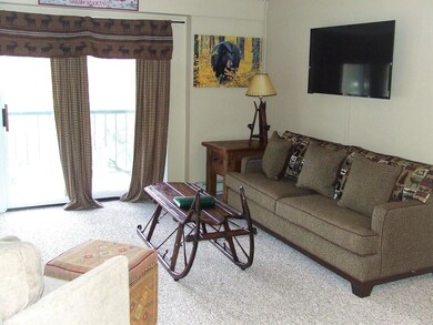 48 Cooper Memorial Dr unit 205, Lincoln, NH 03251 - photo 6