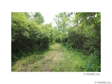 Land Trails for Riding