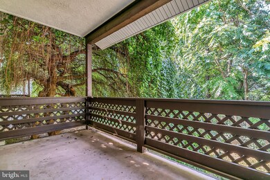 10028 Oakton Terrace Rd, Oakton, VA 22124 - photo 7