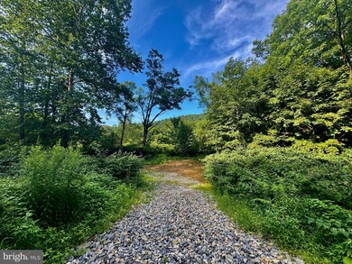 0 W Virginia 72, Parsons, WV 26287 - photo 4