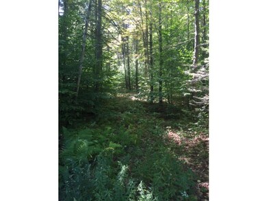 1523 Mcmillan Rd, Halifax, VT 05342 - photo 3